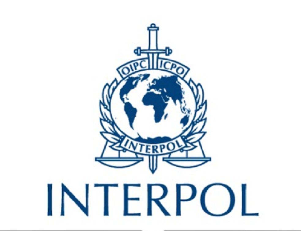 Interpol, LOGO